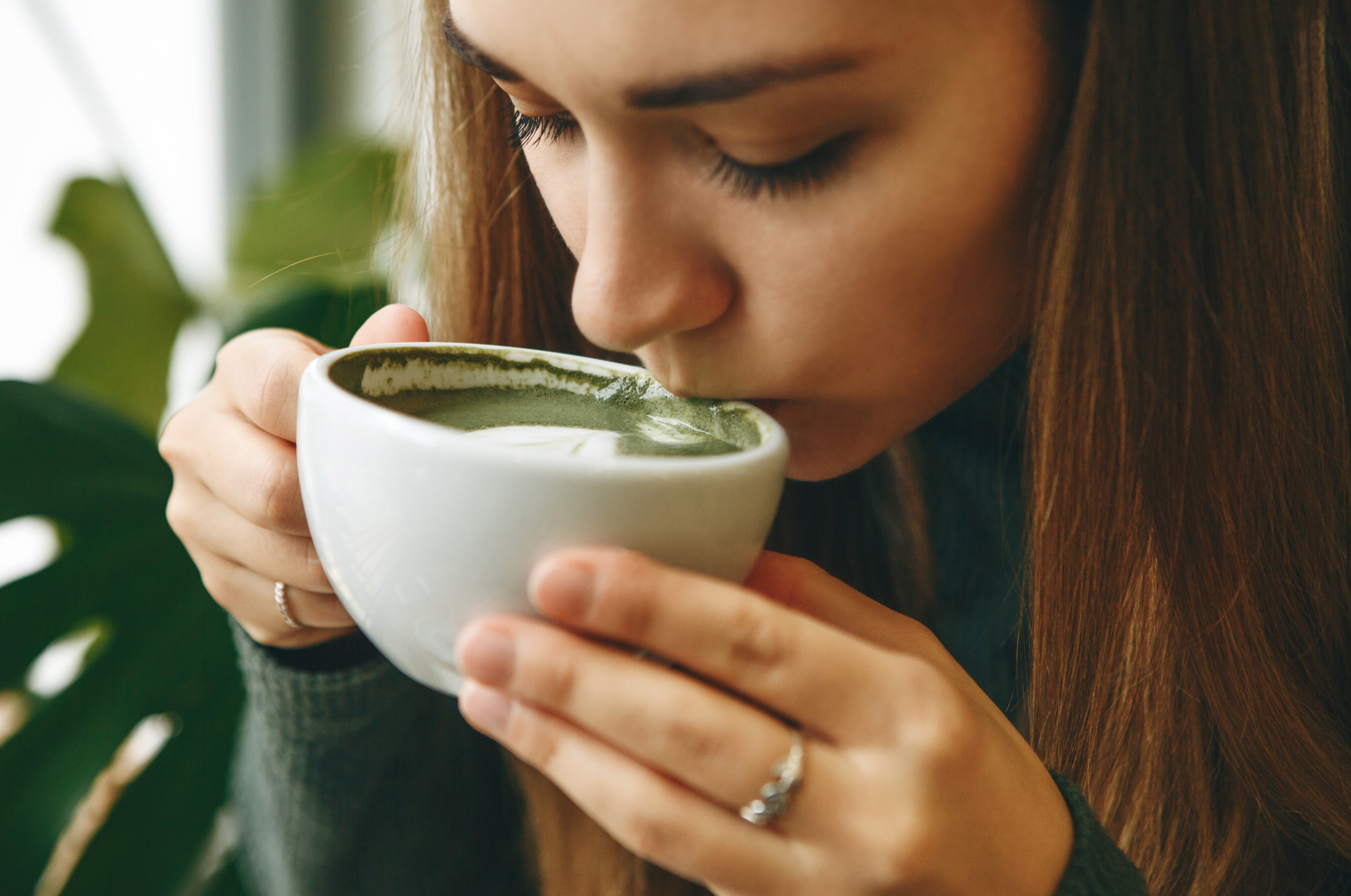 Tés e infusiones